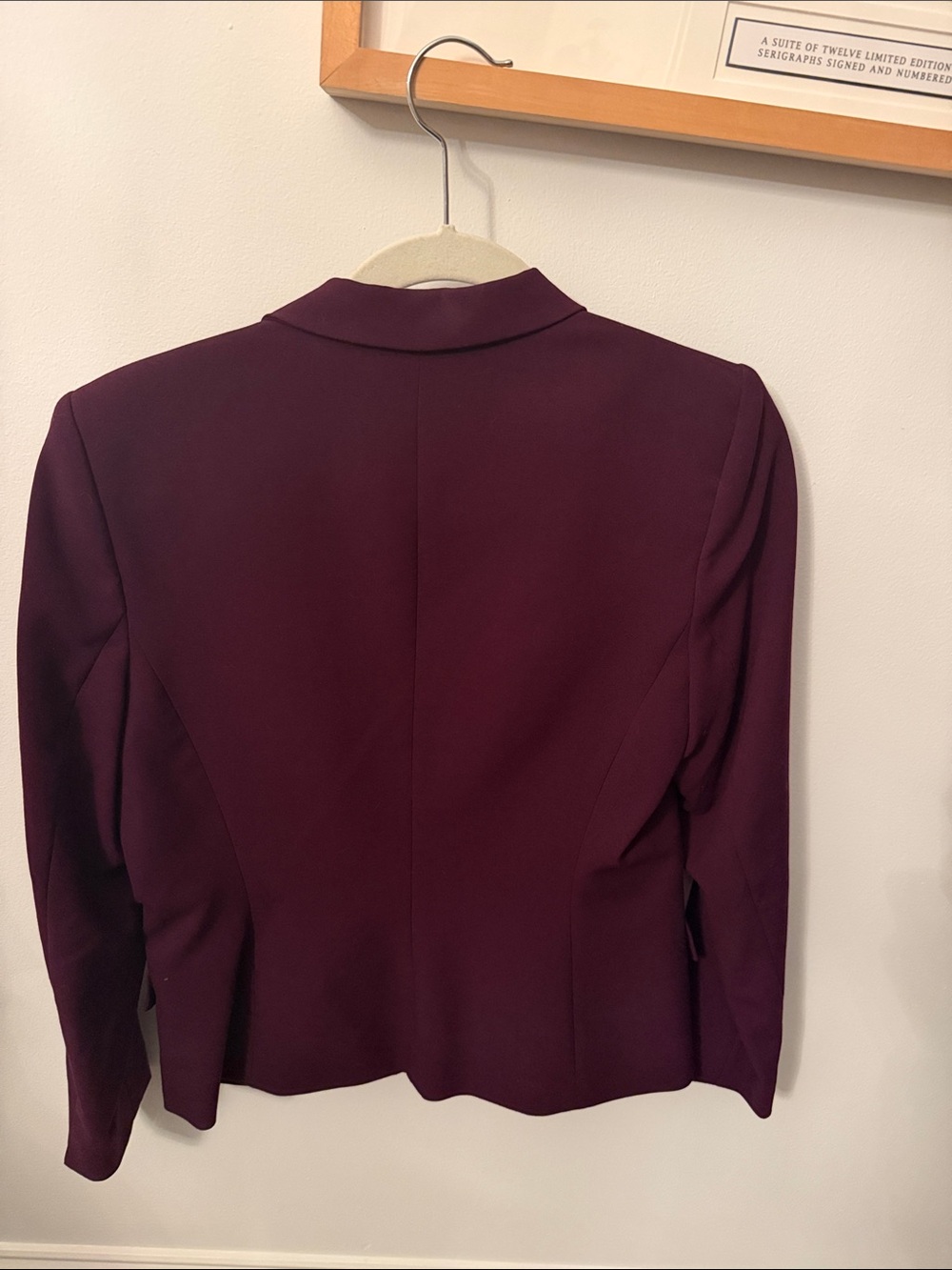 Calvin Klein Plum Purple Blazer Size 10P EUC - Picture 6 of 6